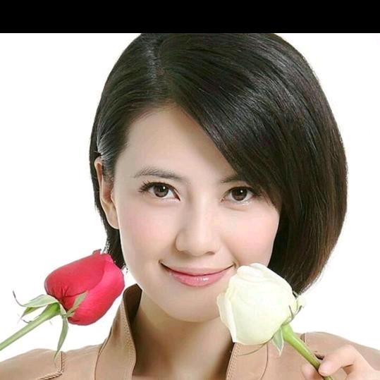 傲雪寒梅