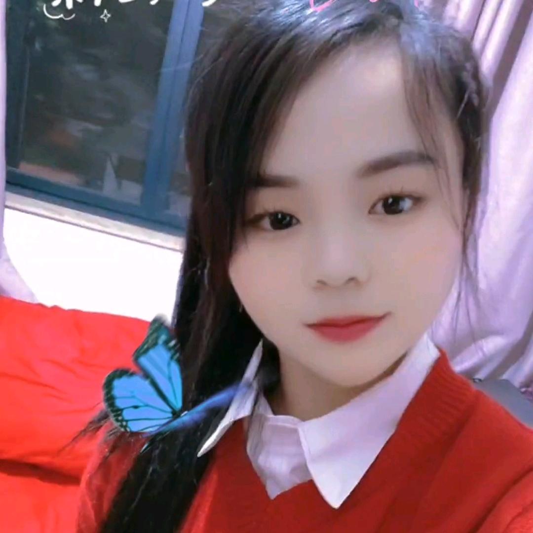 单只蝴蝶🦋