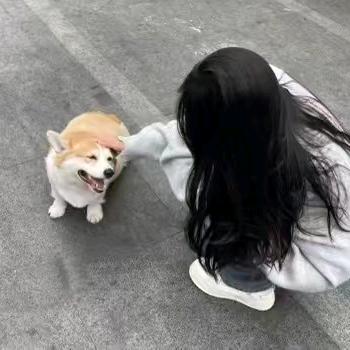 泡 泡