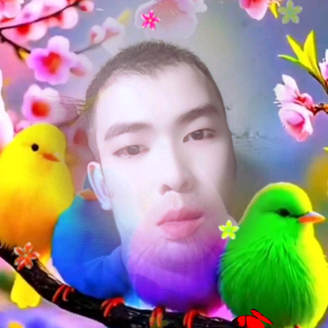 伟彪