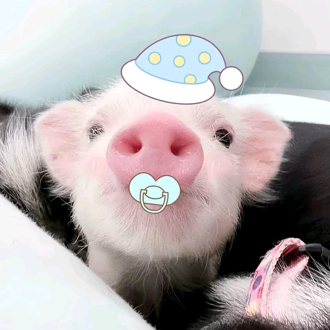 娇娇果奶