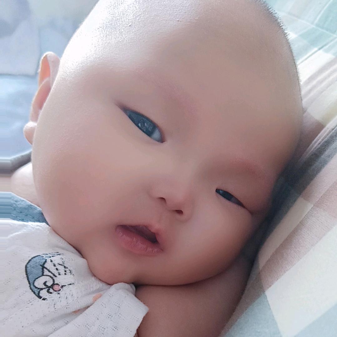 蛋蛋宝贝
