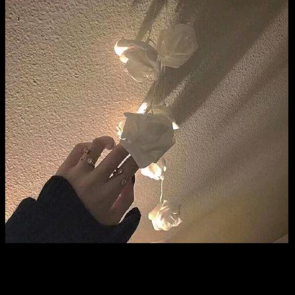 βiβi 的 眼泪