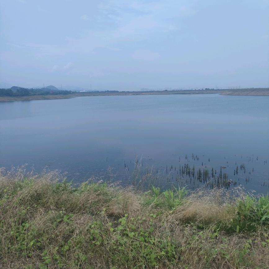 太阳温度
