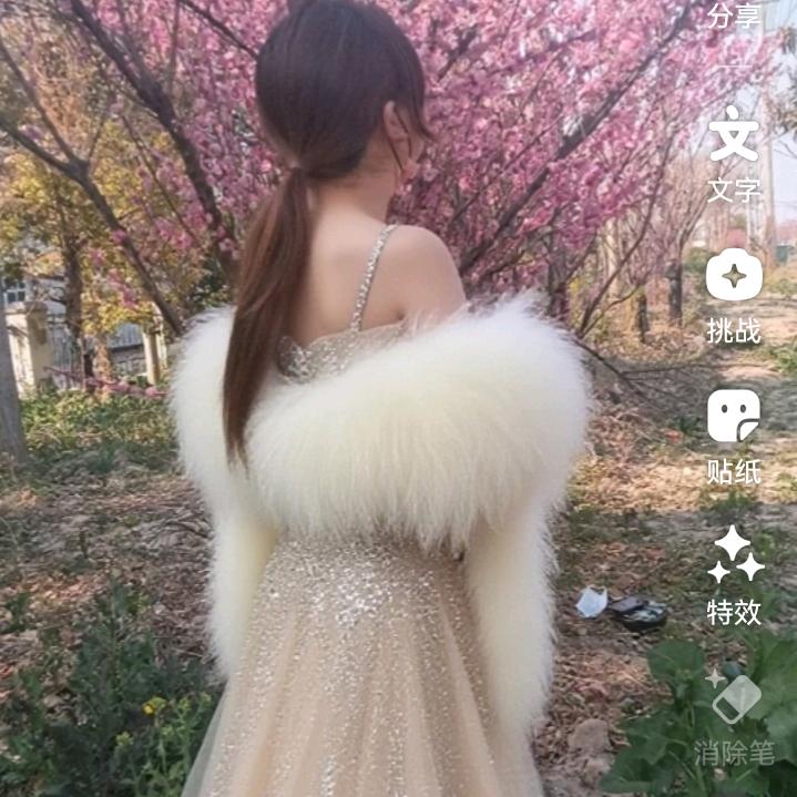 美丽的萍
