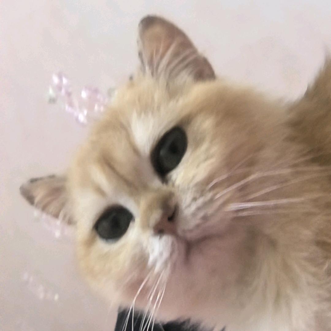 百般无聊