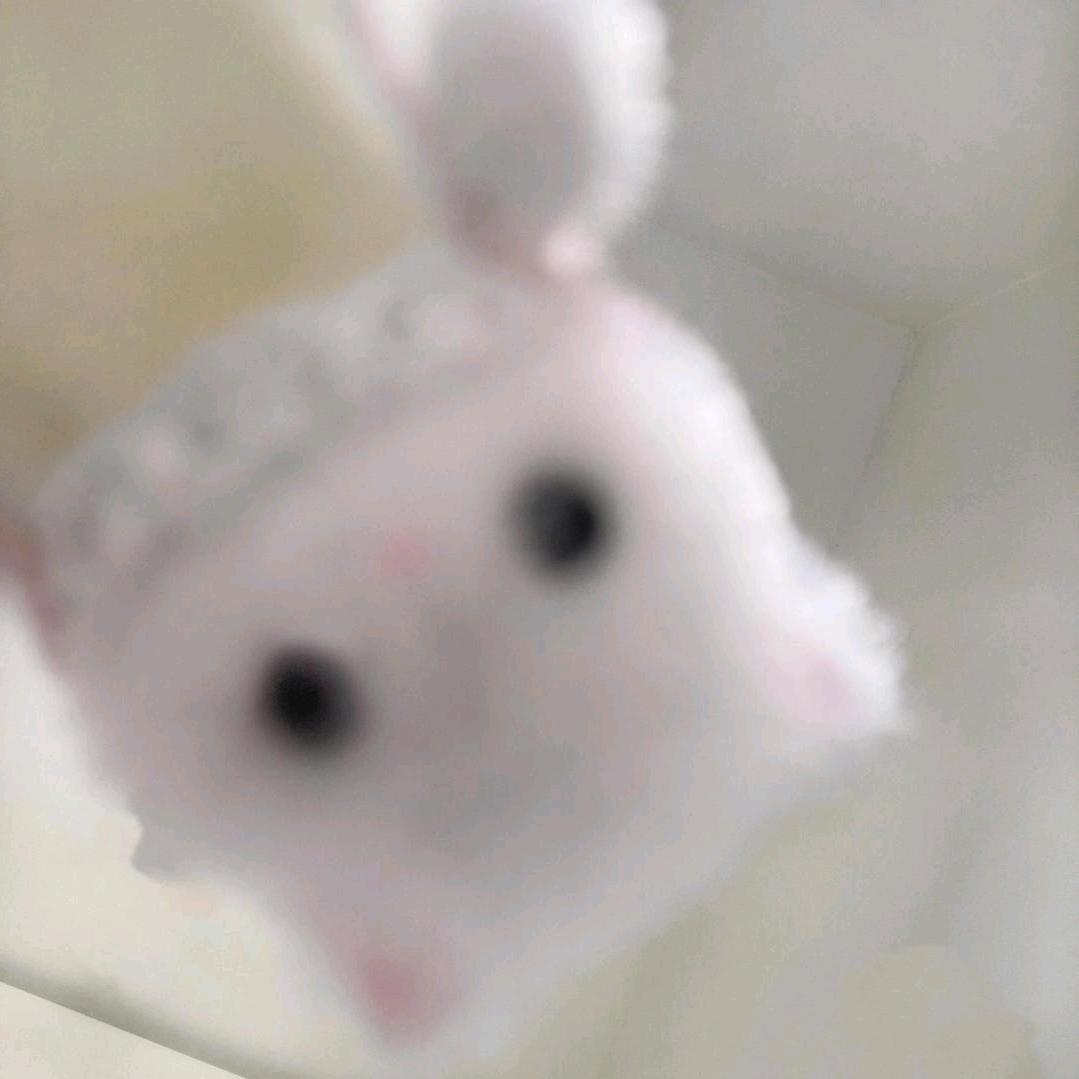 来财来财来