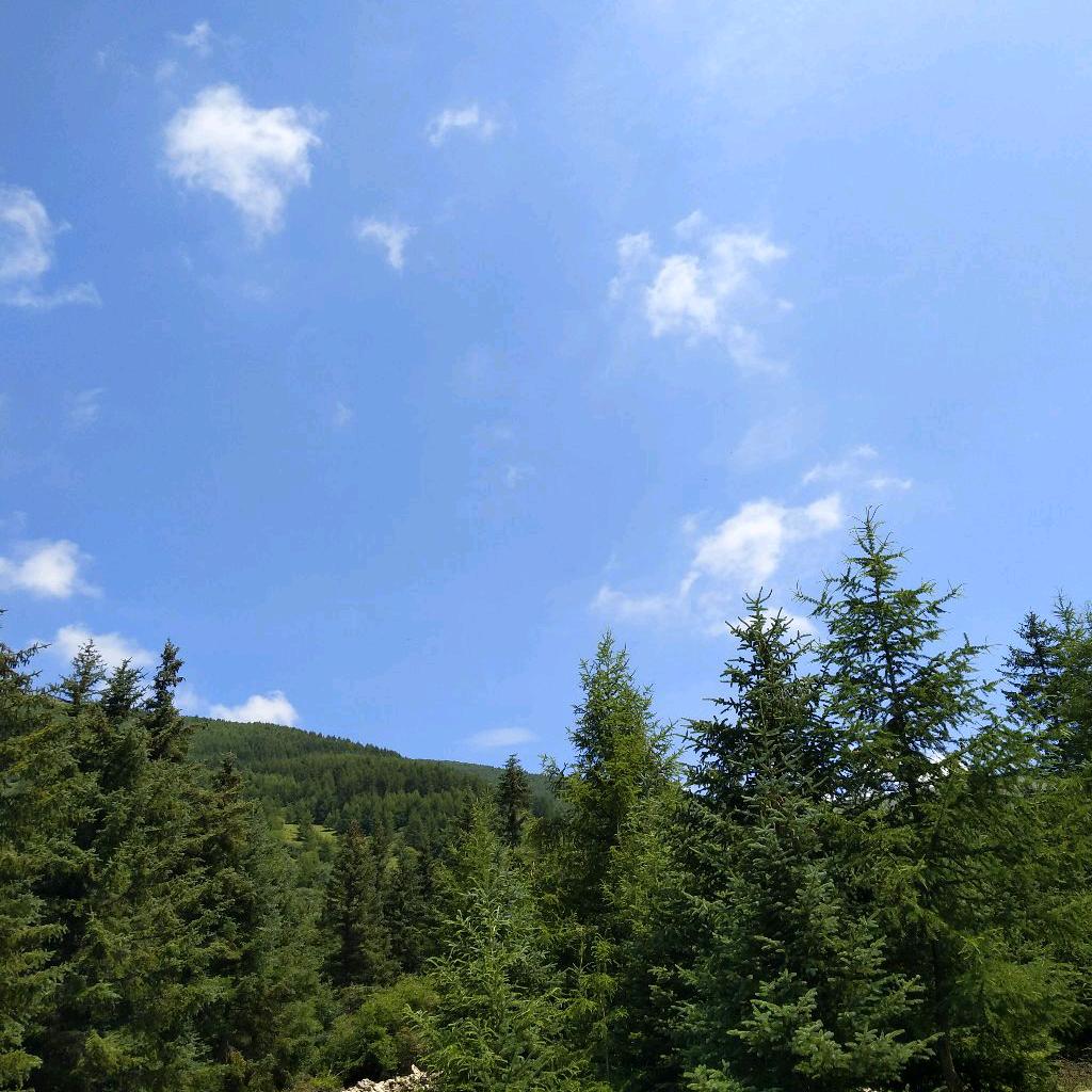 铭铭