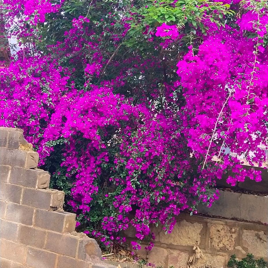 (๑ʘ̅ д ʘ̅๑)!!!