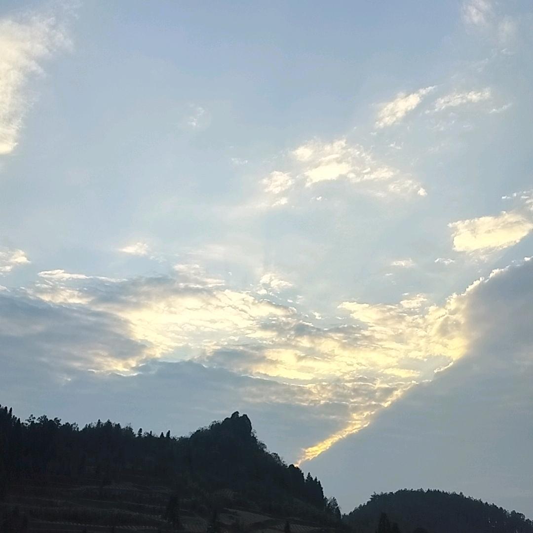 最熟悉的陌生人