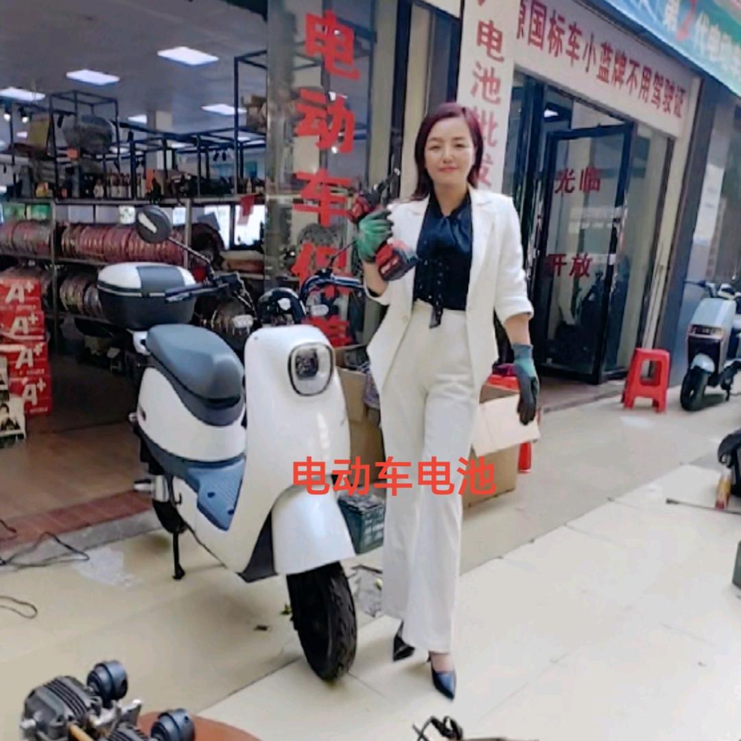 电瓶花木（木兰）