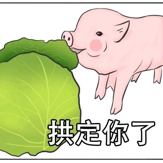 专拱白菜的猪