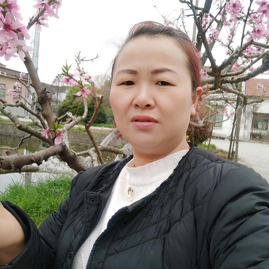 王大姐《每天早6.10直播》