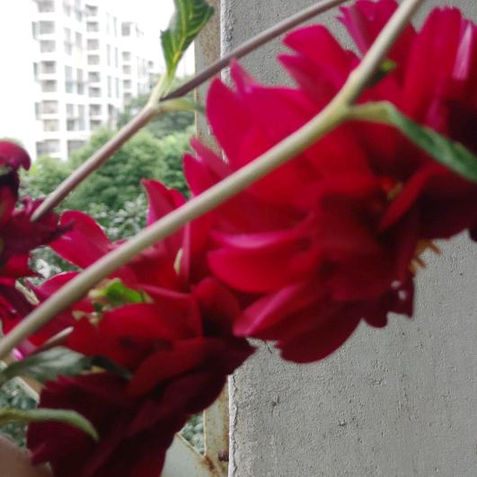 开心快乐每一天平平安安，健健康康就好