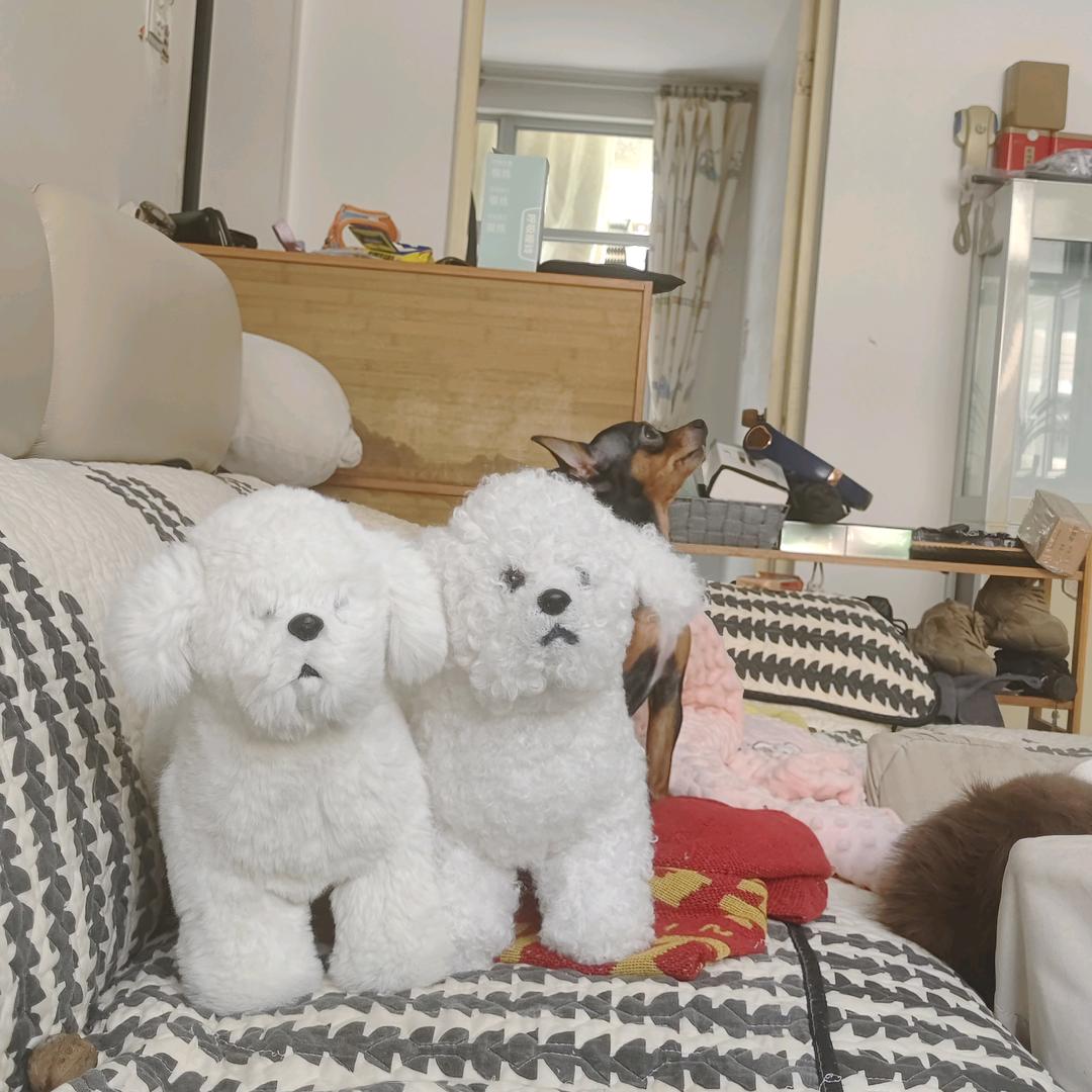 独钓寒江雪