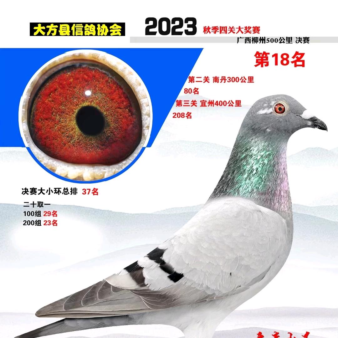 熊     亮