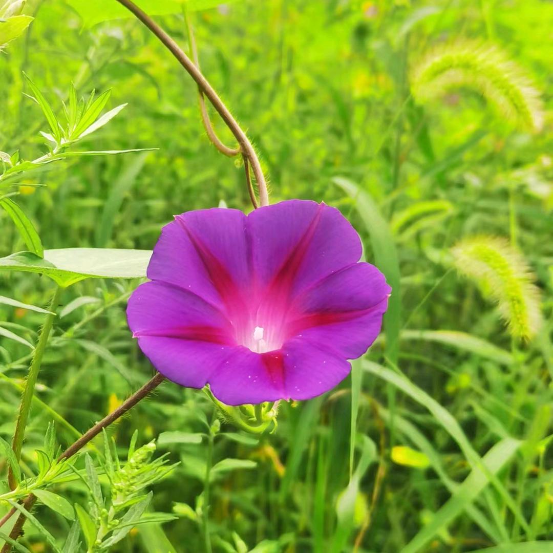 一路有你(拒绝私聊)