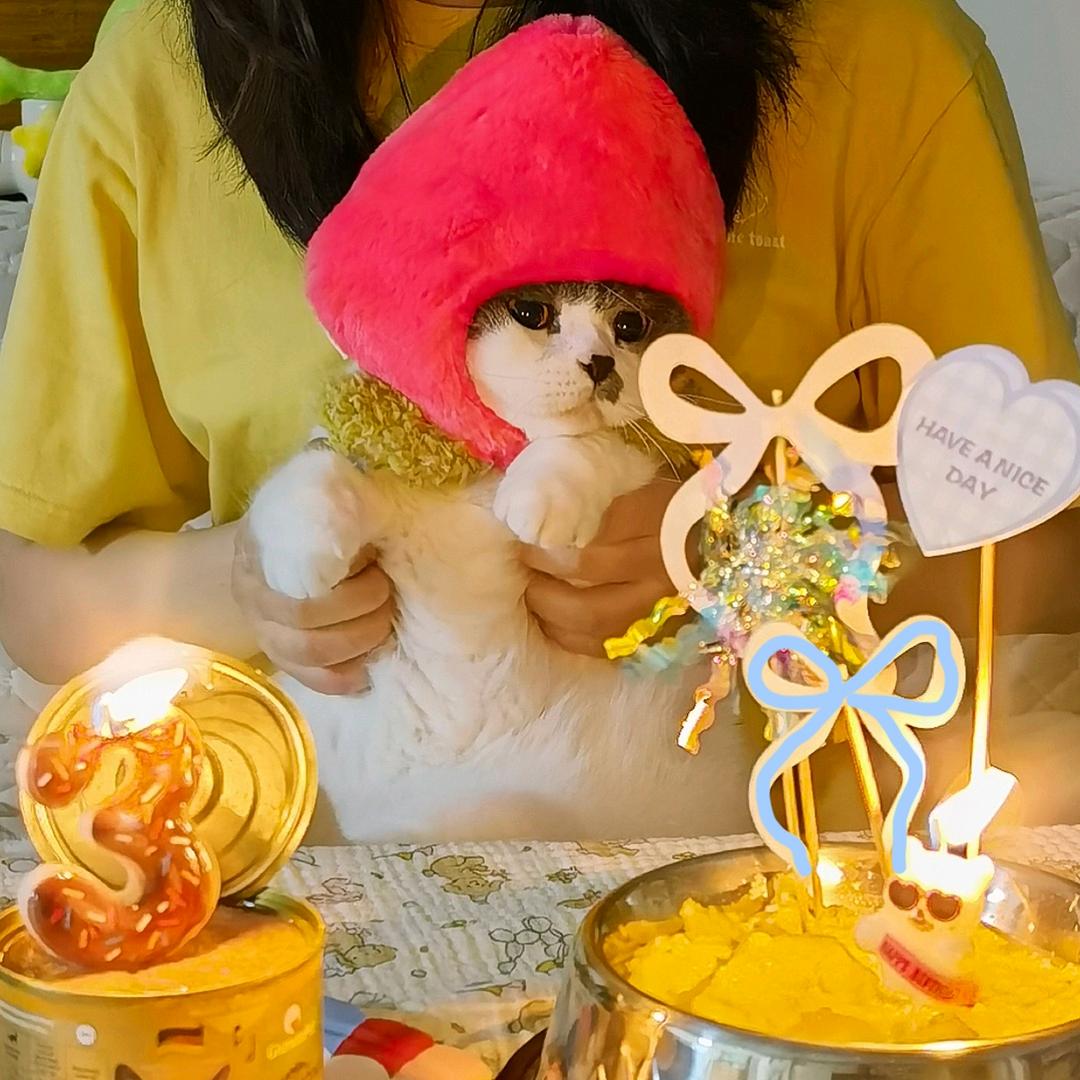 Hoxy你可以叫我大哥嘛