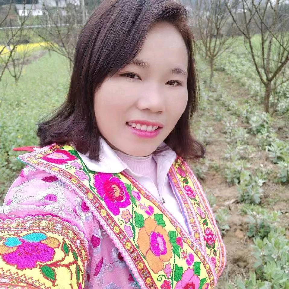 黄柏通草种植户