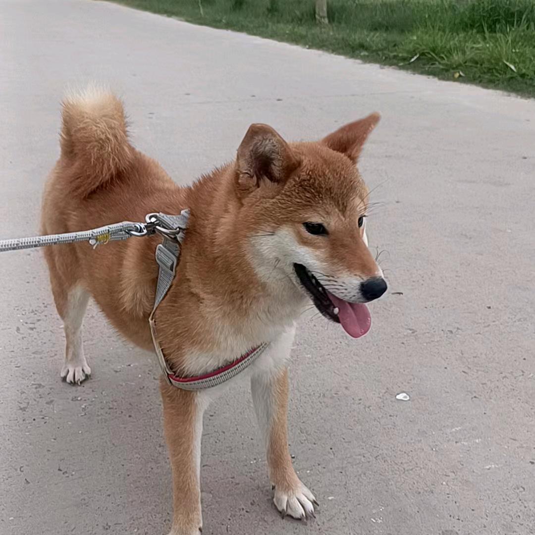 给自己快乐