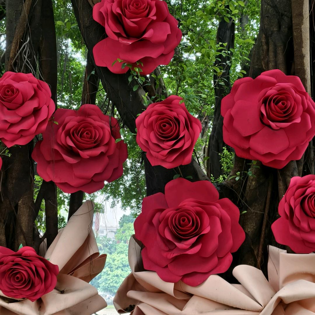 小陈的美食日记