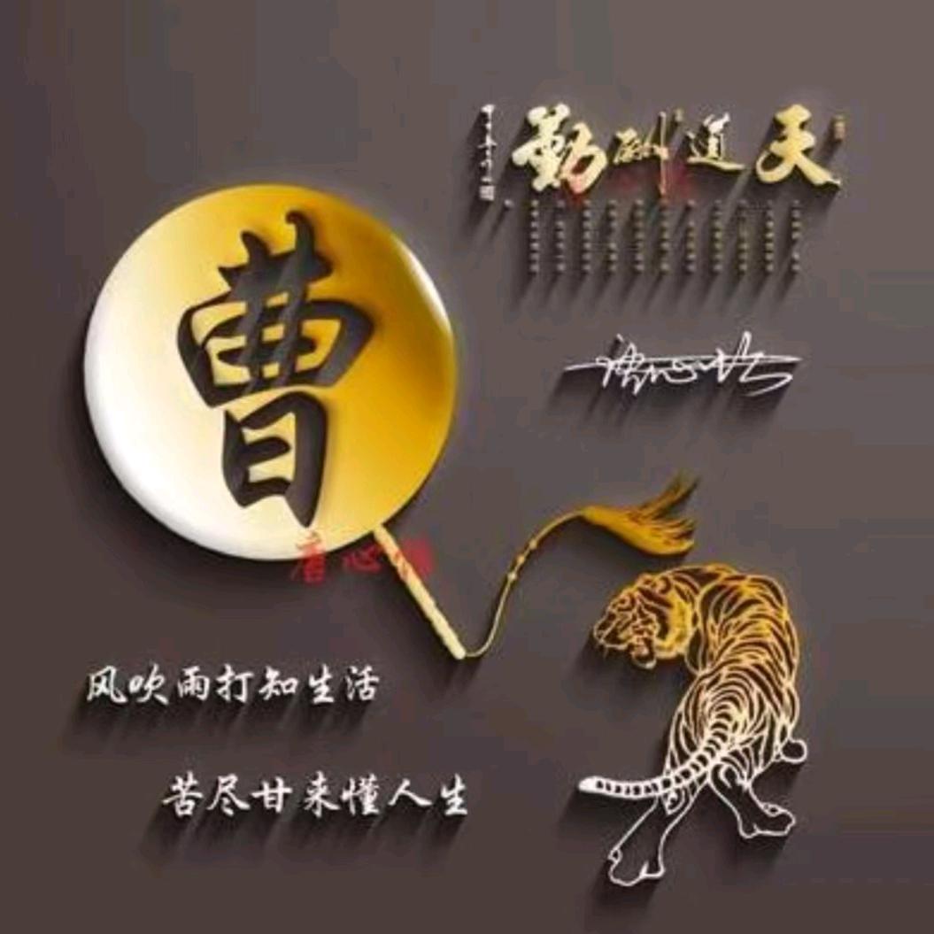 家住临沂