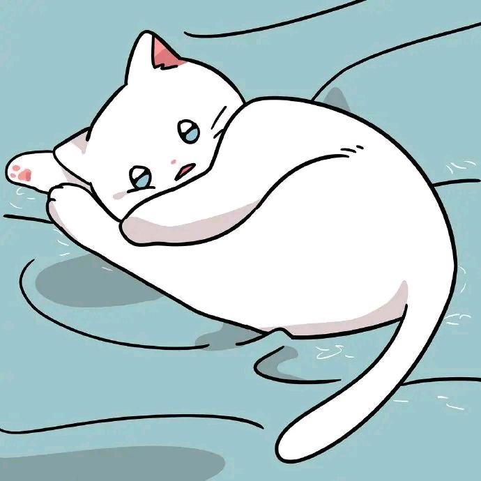 。。。。