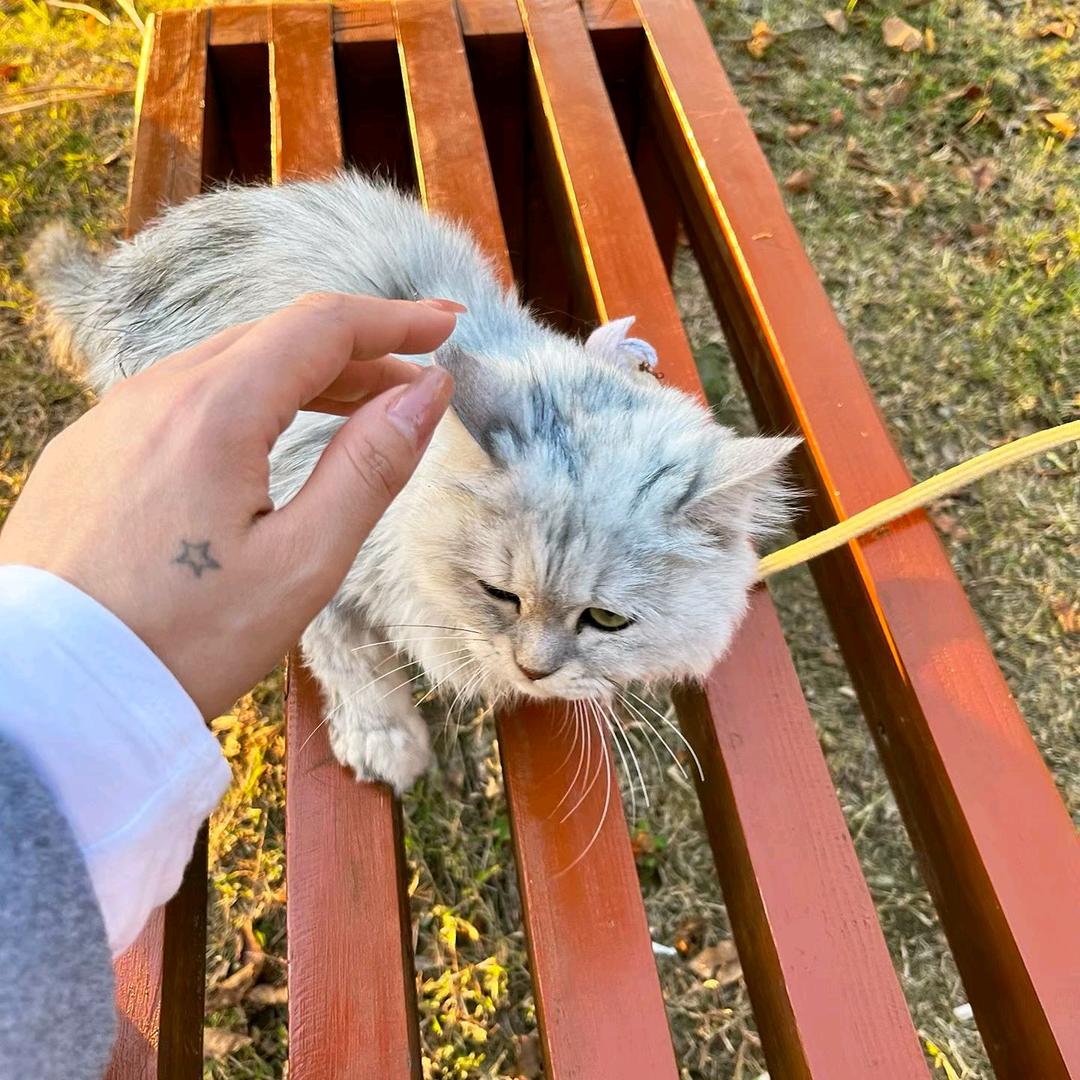 ☞、@锐总的少女心妈妈👩🏻