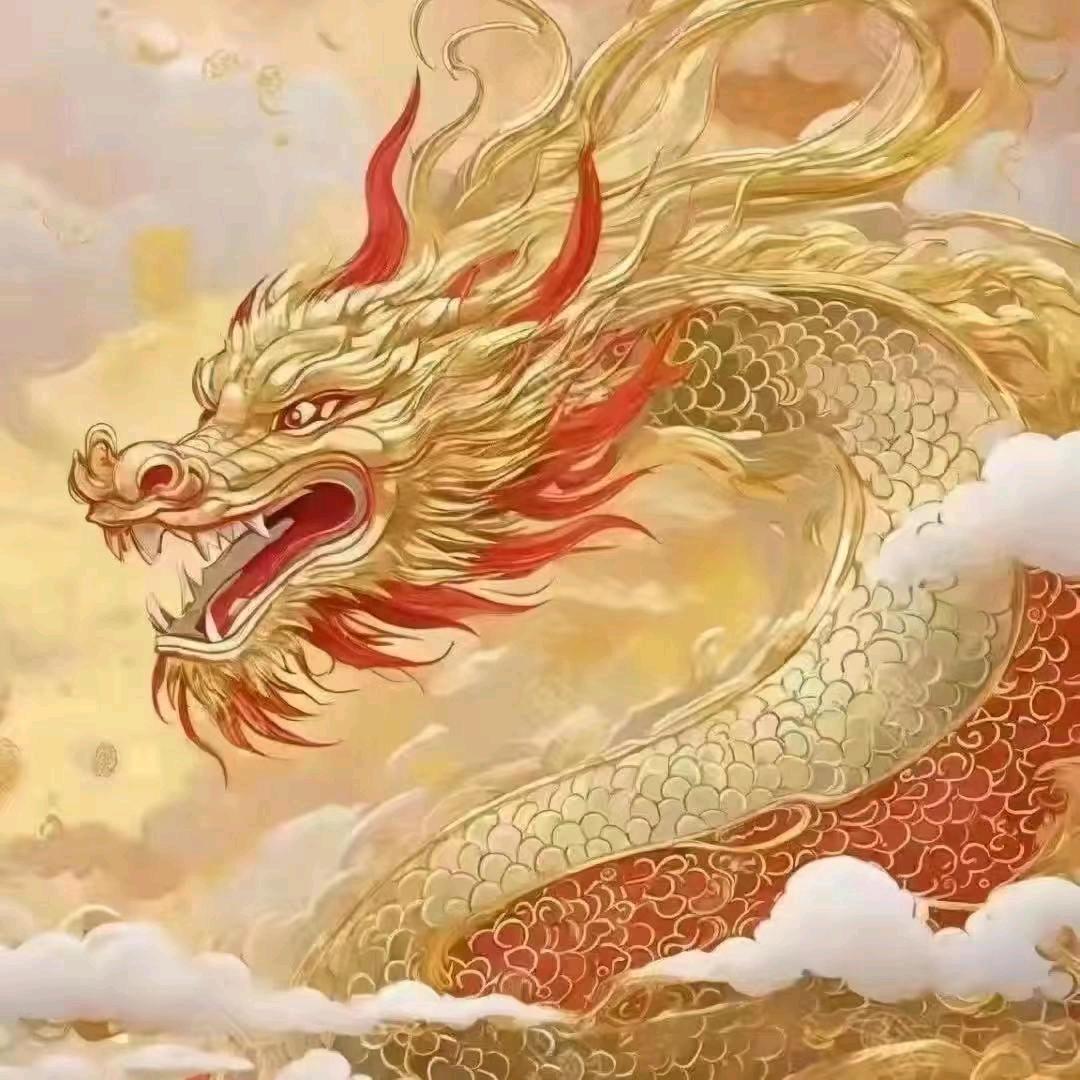 随心