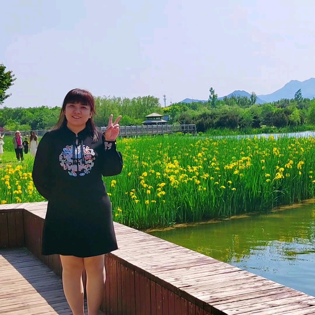 起风的季节