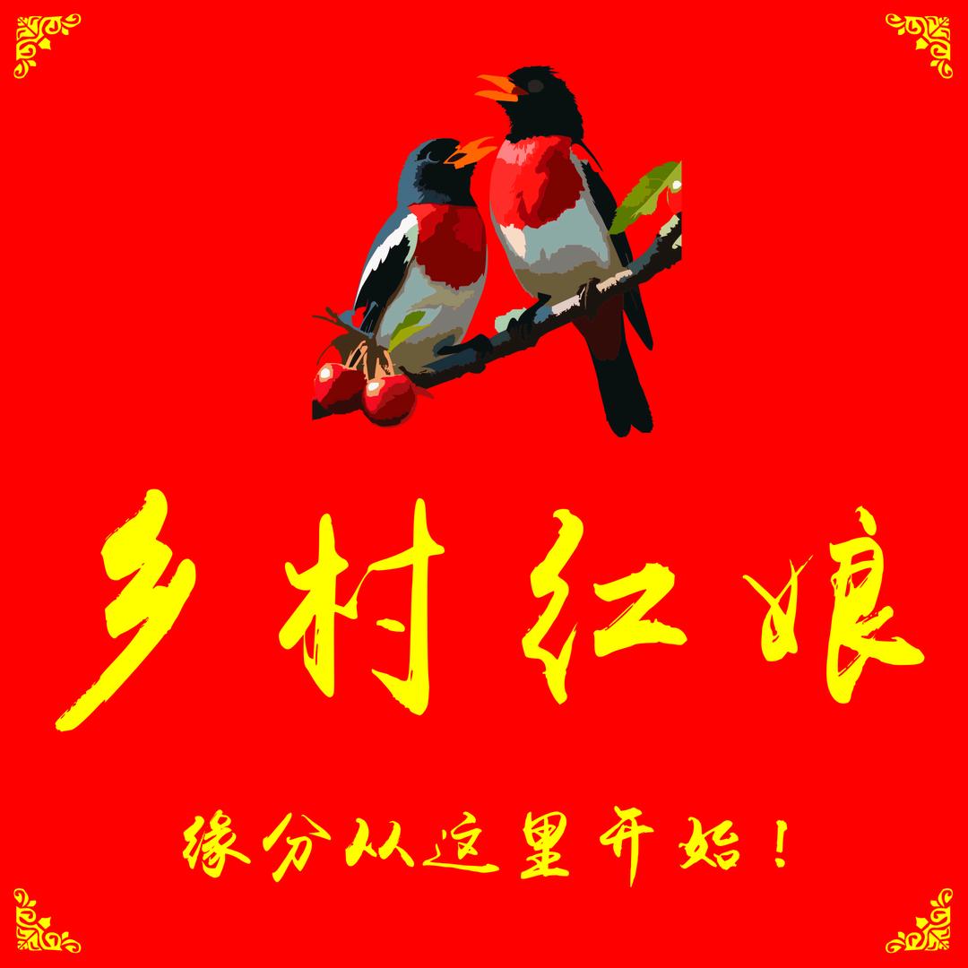 永丰乡村红娘