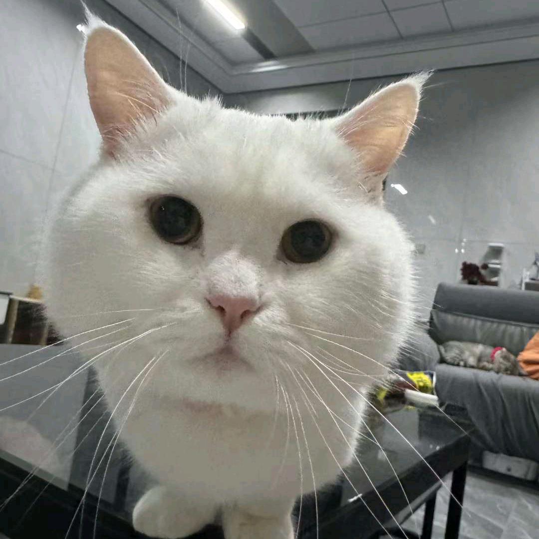 咸蛋黄超人