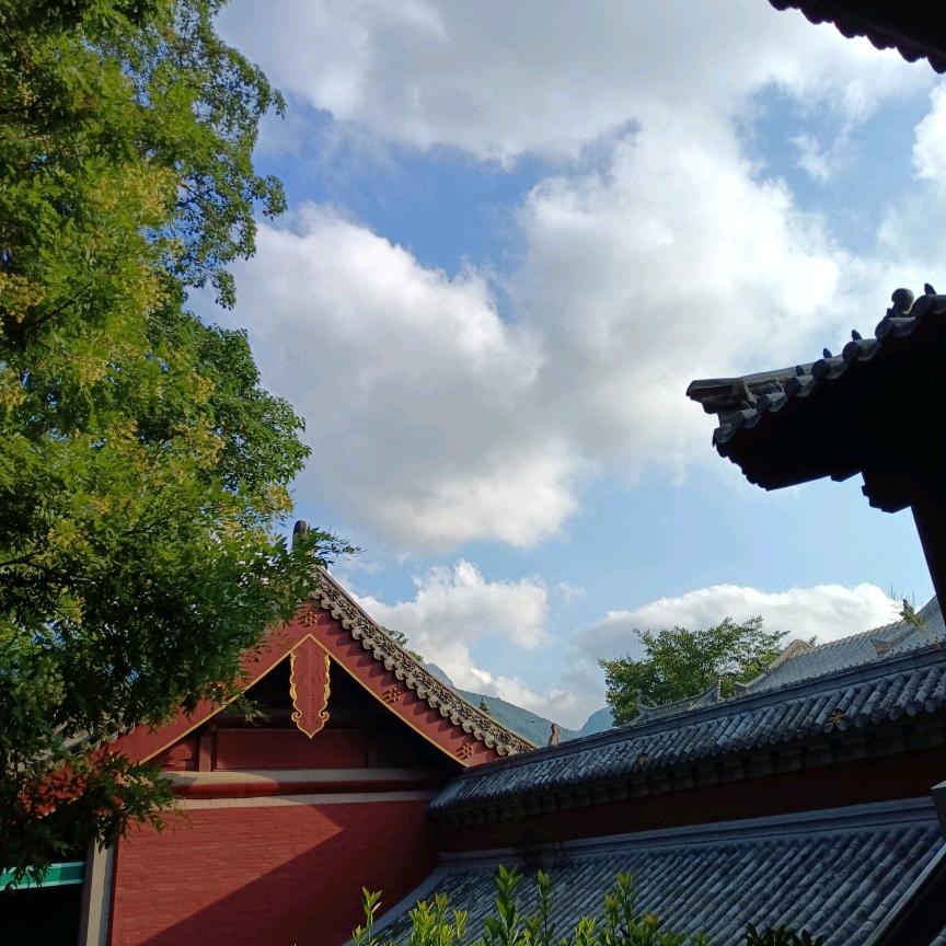 杜杜有点饿