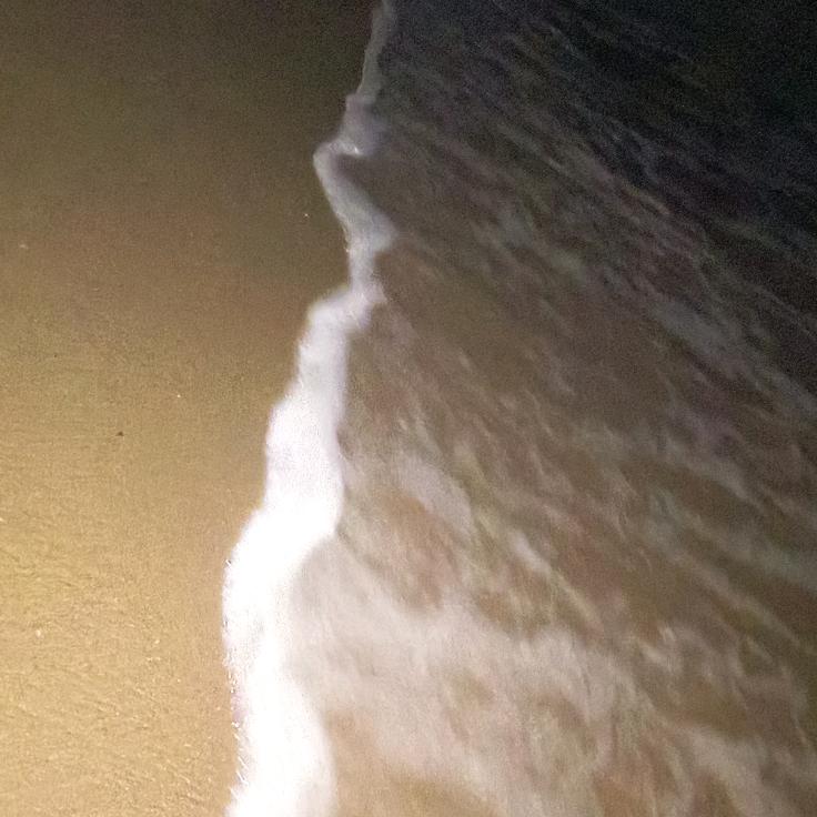 厦门古月派