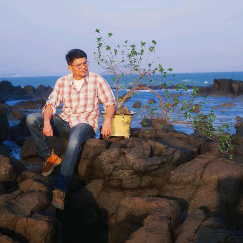 伊洛传芳花卉