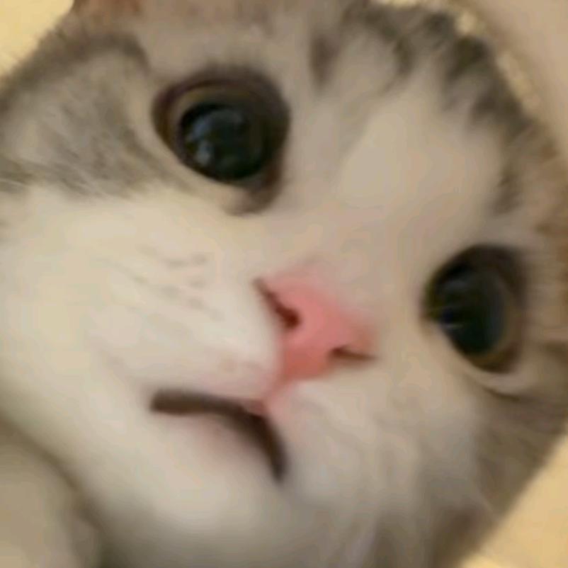 小遥乐（三角洲）