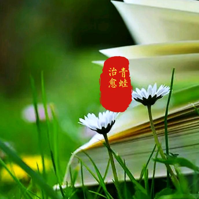 青蛙治愈