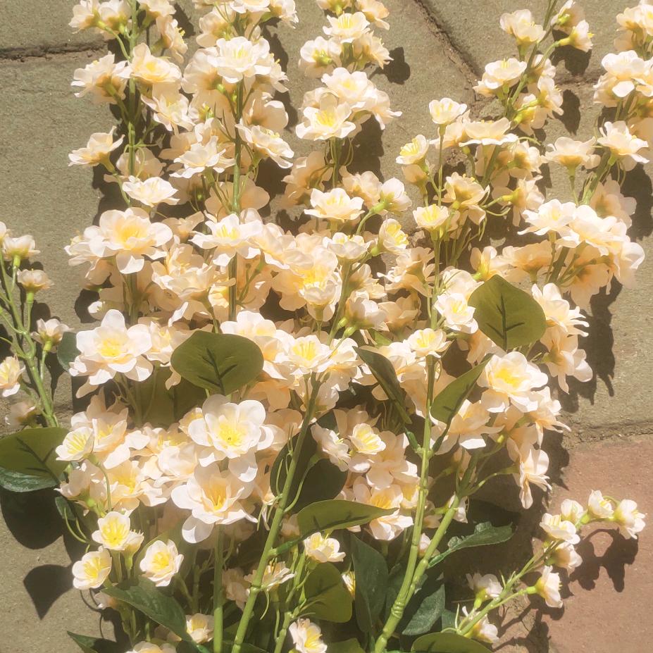 春雨里洗过的太阳