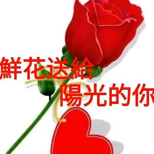 一方神圣~不刷票.不点赞~为了存钱养老