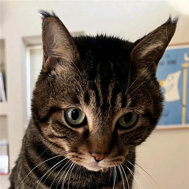 都不知道该叫什么了