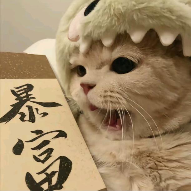 🎼lucky cat