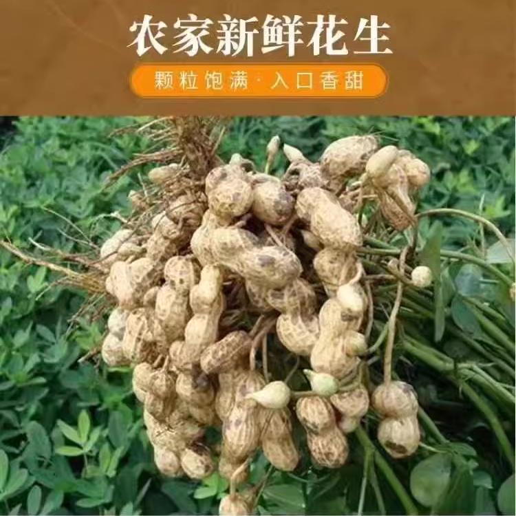 韩总助农