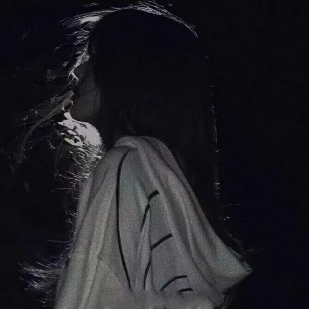 雅丽.