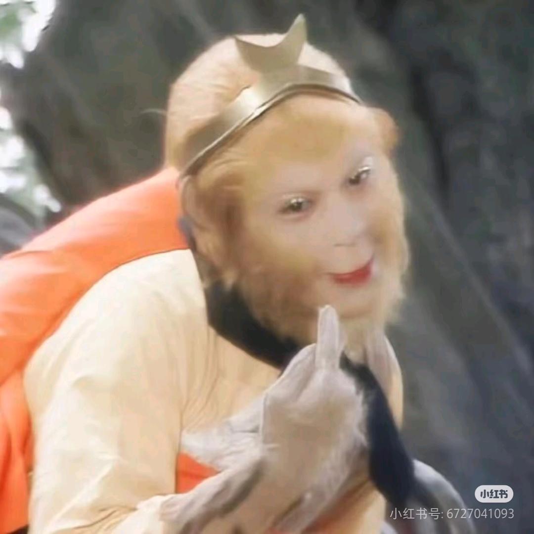 峨眉山在逃吗喽