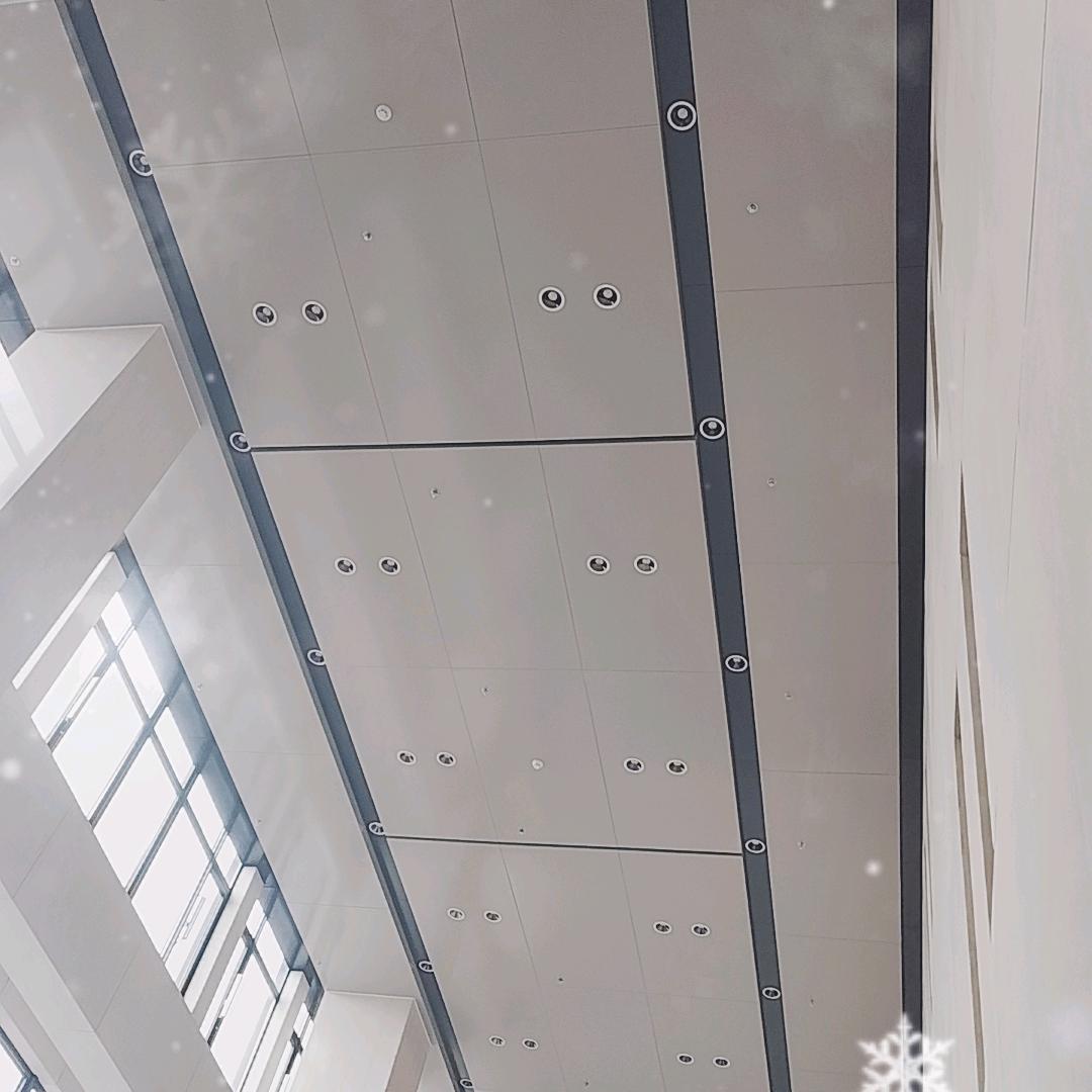 有根