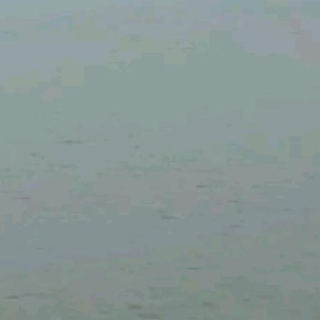 水果批发