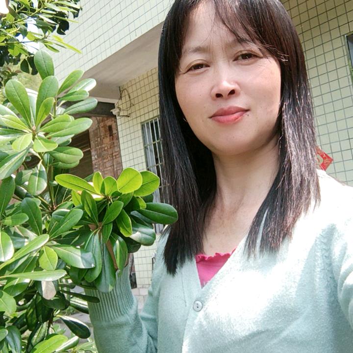 小龙女