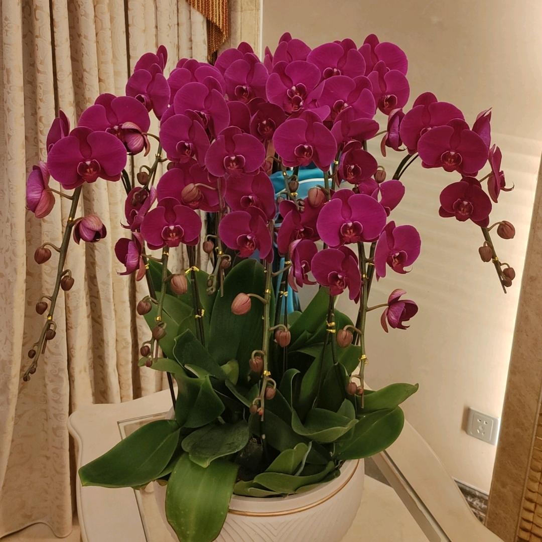 休闲娱乐