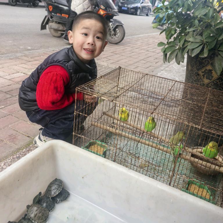 王高兴