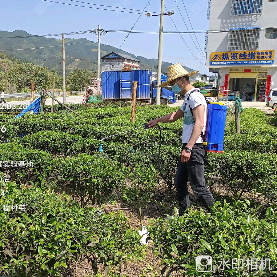 小杨下乡